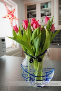 IMG_9548