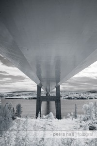 IR_augusti_01
