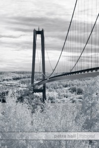 IR_augusti_02 IR_augusti_02