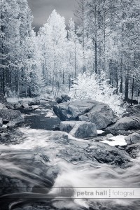 IR_juli_01 IR_juli_01